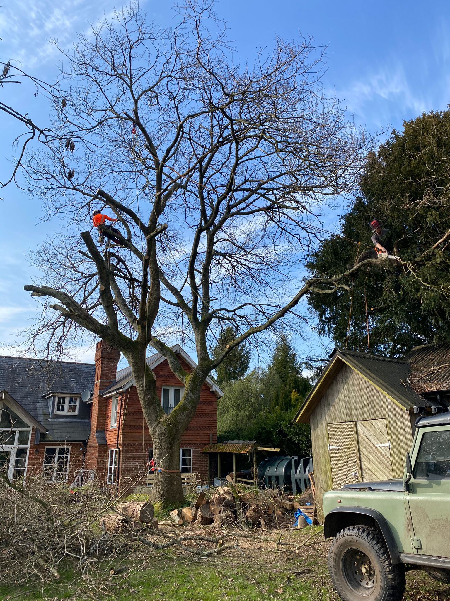 Two tree surgeons working on cutting a tree. Wilts & Hants Tree Care. Tree Surgeons, Landscaping, Gardens, Fencing. Amesbury, Salisbury.